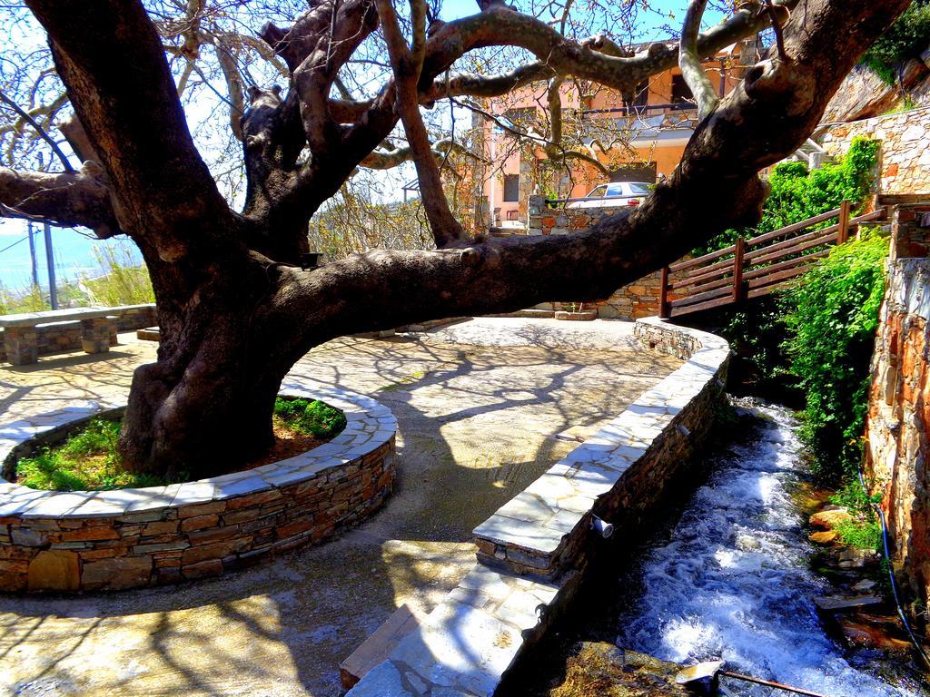 Makronas Apartments Karystos  Exterior photo