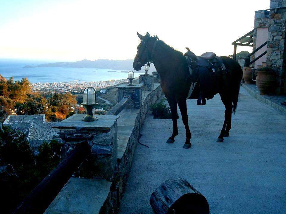 Makronas Apartments Karystos  Exterior photo